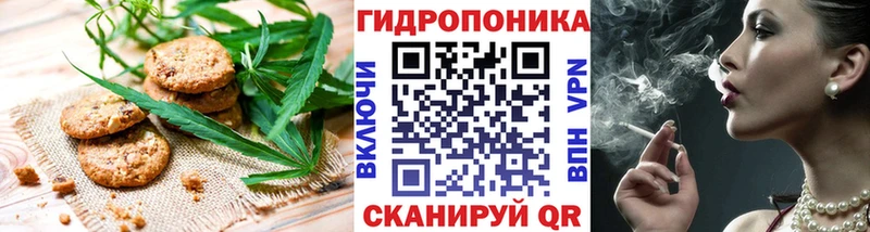 Купить закладки  Куртамыш  Печенье с ТГК конопля 