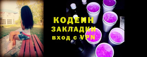 шишки Вяземский