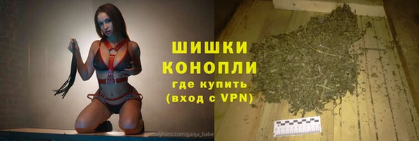 шишки Вяземский