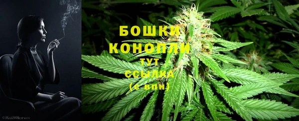 сатива Вязники