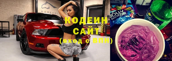 шишки Вяземский