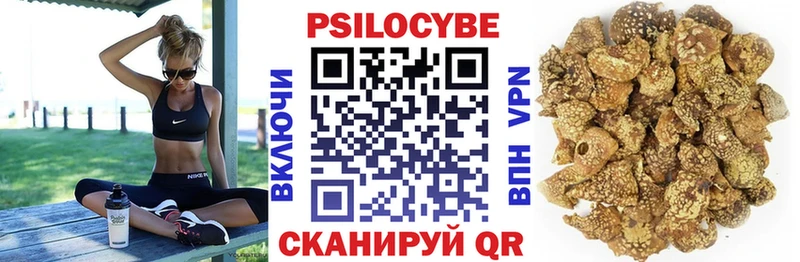 Купить закладки  Куртамыш  Галлюциногенные грибы Psilocybine cubensis 